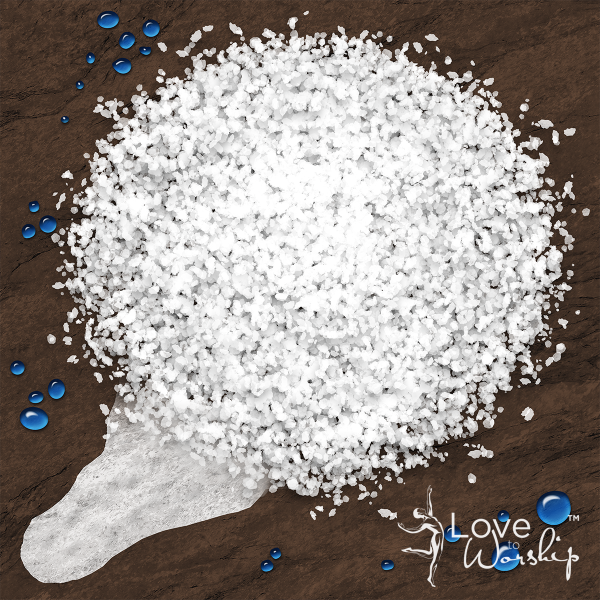 Salt of the Earth